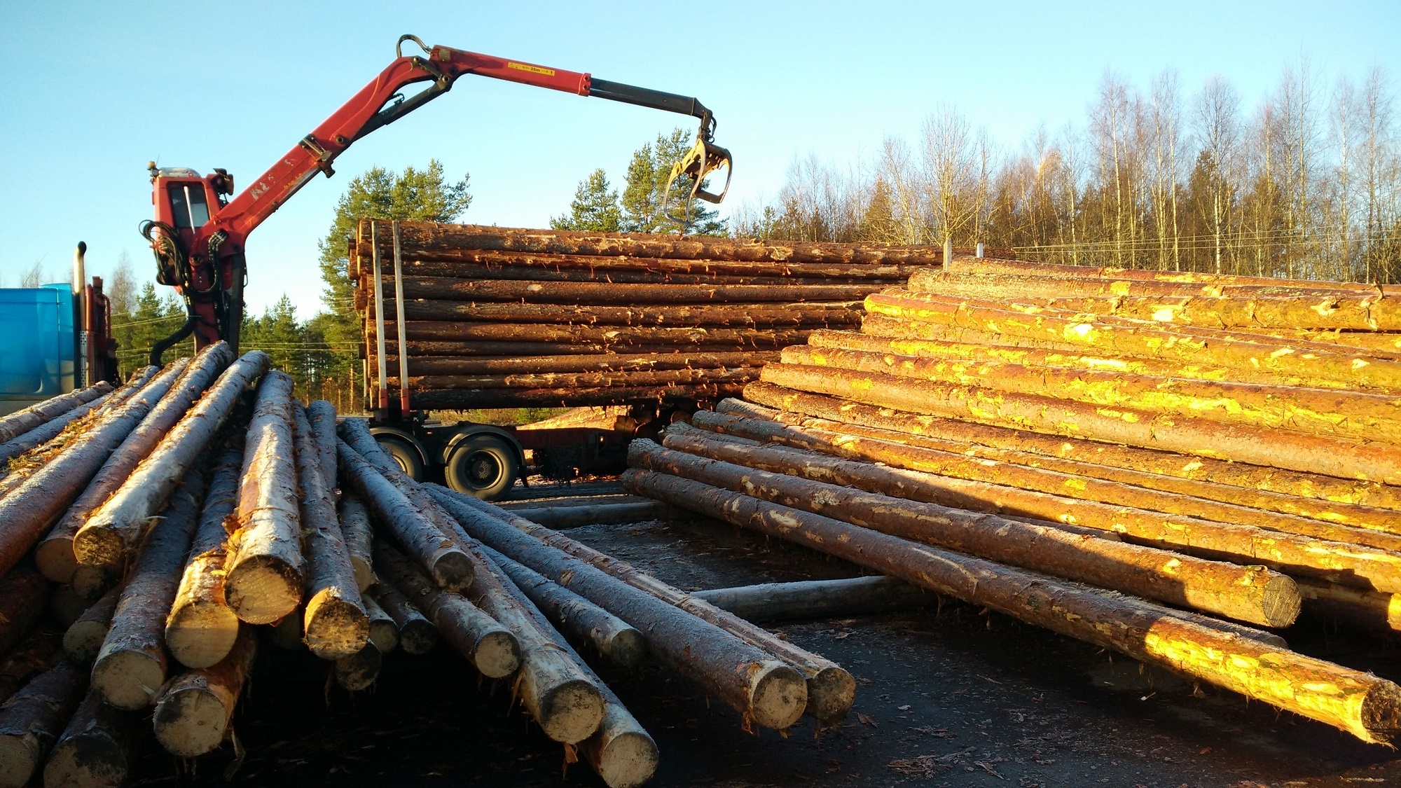Postes de madera tratados electricidad – Aliforest